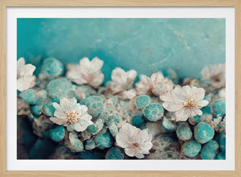Aqua Blossom Dream | Poster
