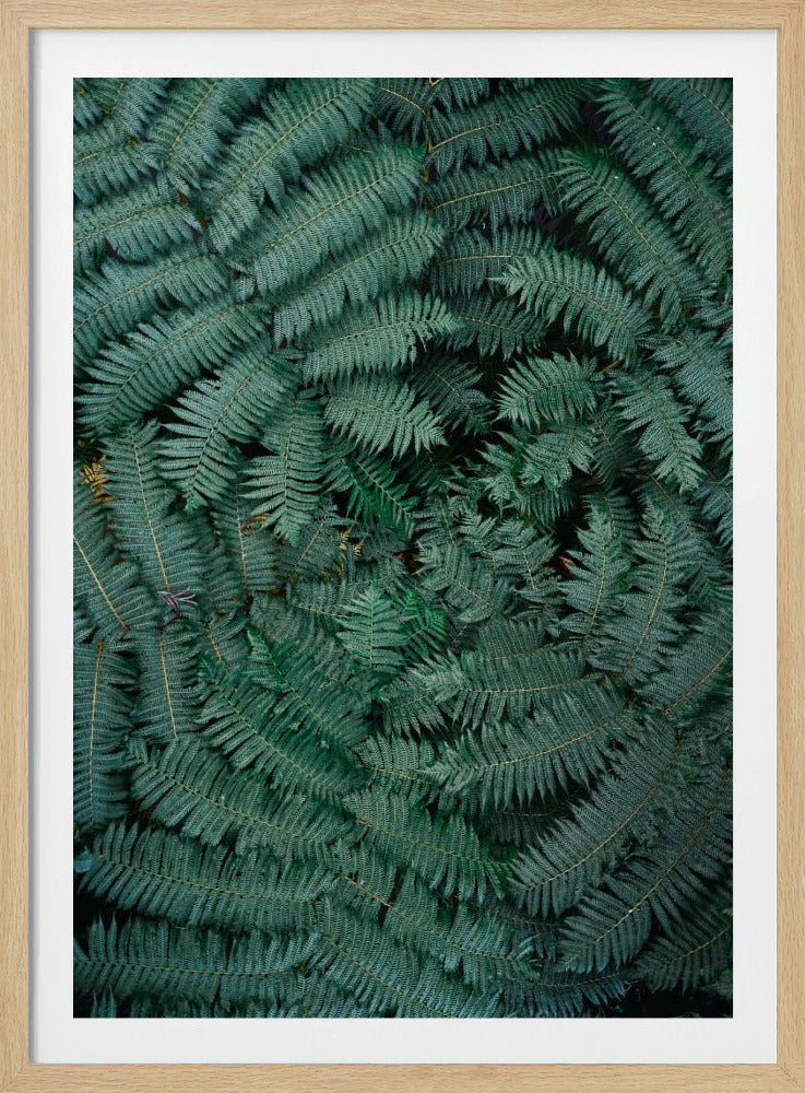 Green Leaves | Poster