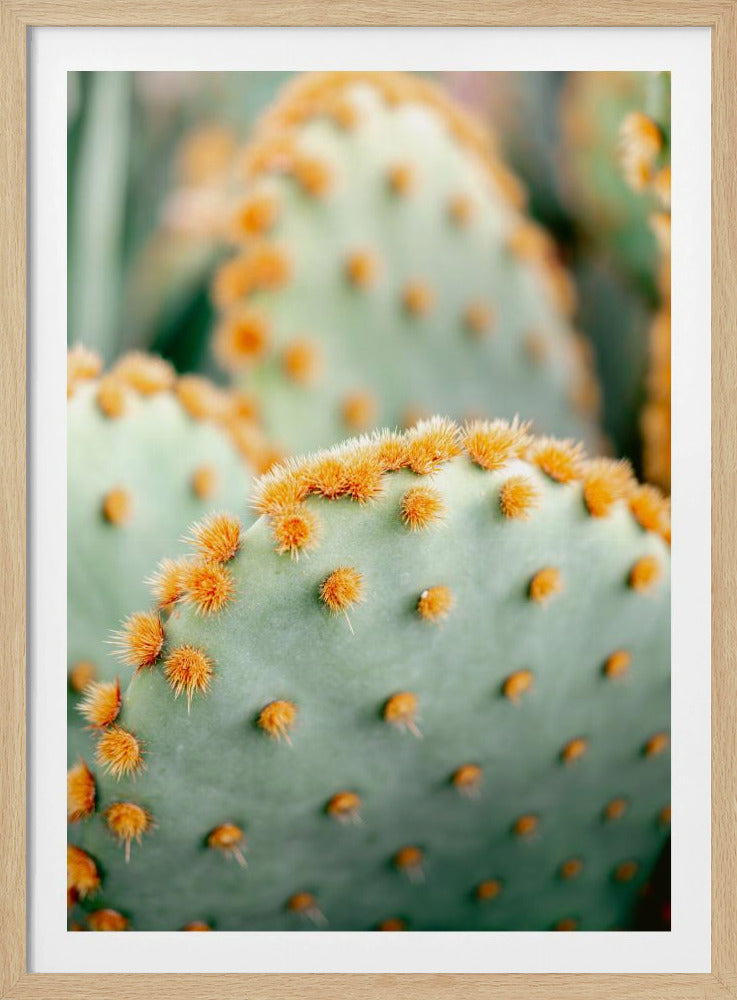 Orange and Green II - Marrakech botanical photography | Poster