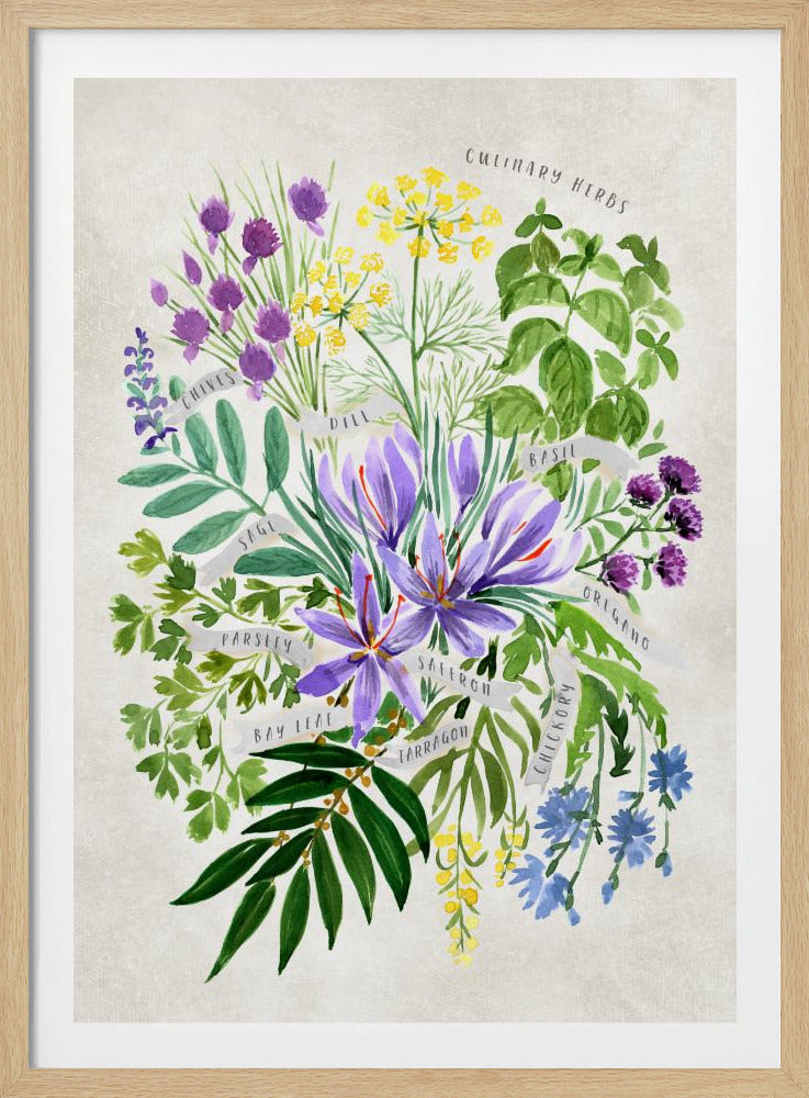 Culinary herbs in vintage gray | Poster