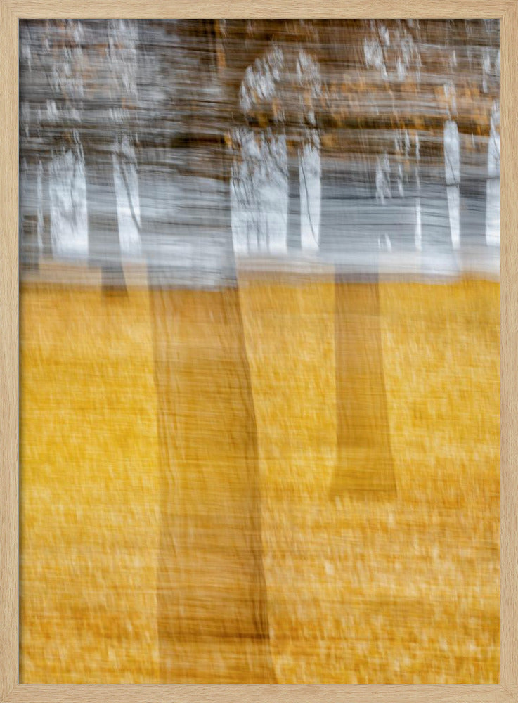 黄叶西风 | Poster