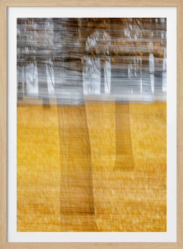 黄叶西风 | Poster