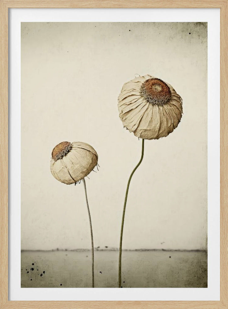 Whispering Blooms | Poster