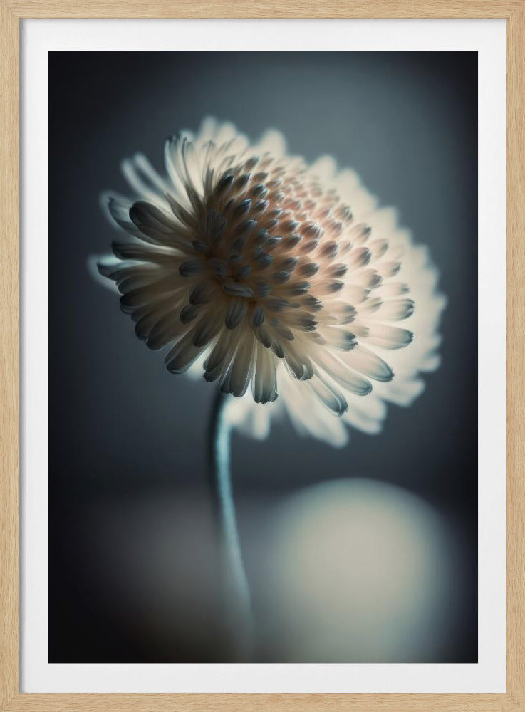 Luminous Blossom | Poster