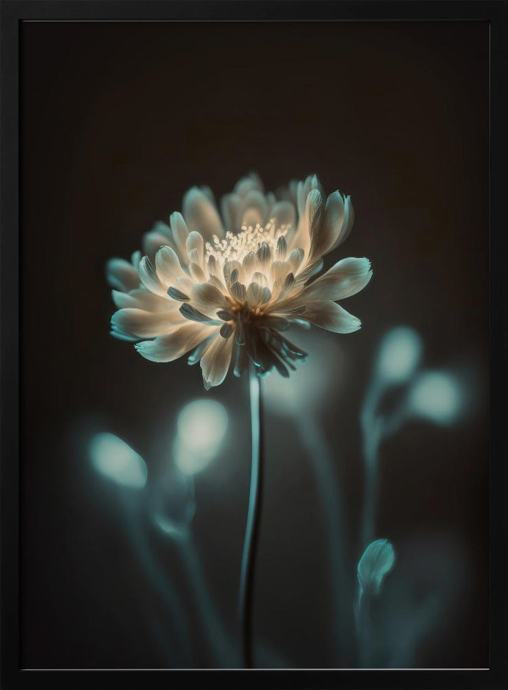 “Luminous Blossom” | Poster