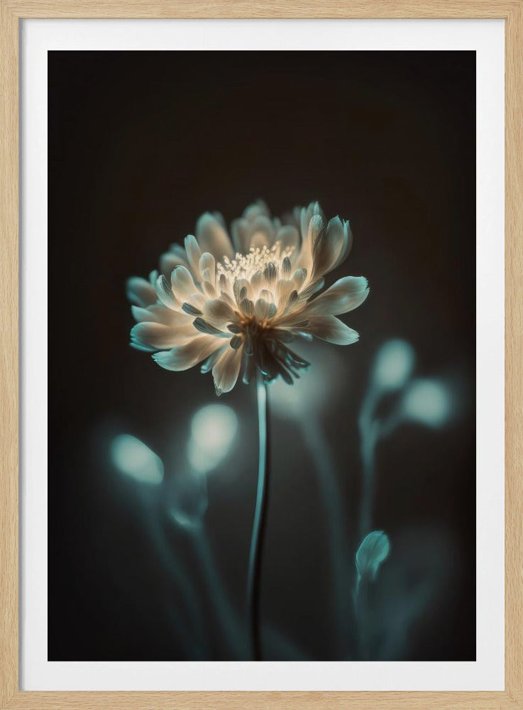 “Luminous Blossom” | Poster