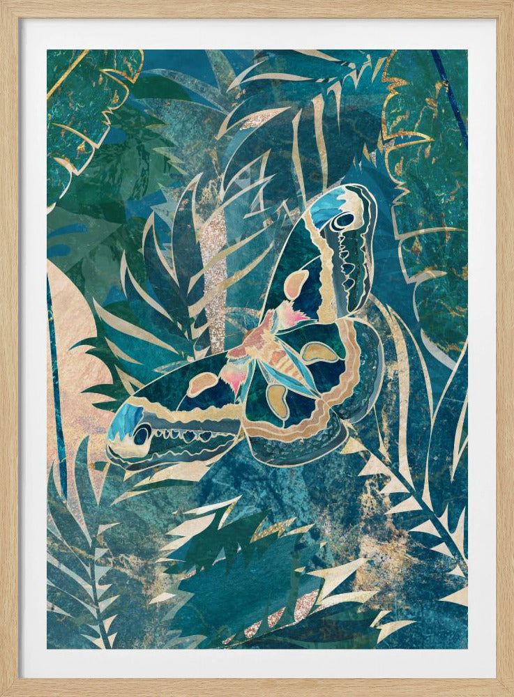 Moth in the rainforest | Poster