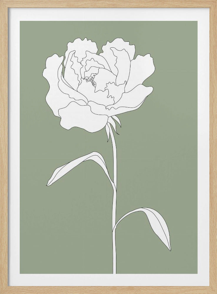 Rose in Green | Poster