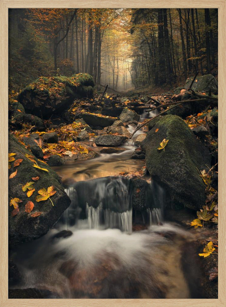 Dreamy Autumn | Poster