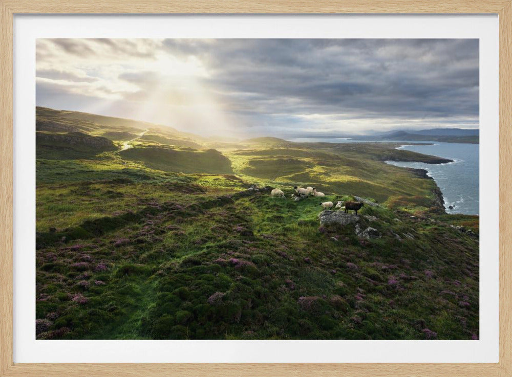 Good Morning Ireland | Poster