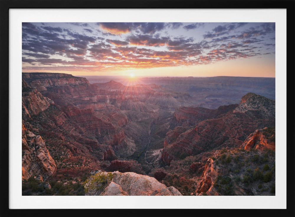 Grand Canyon View | Poster