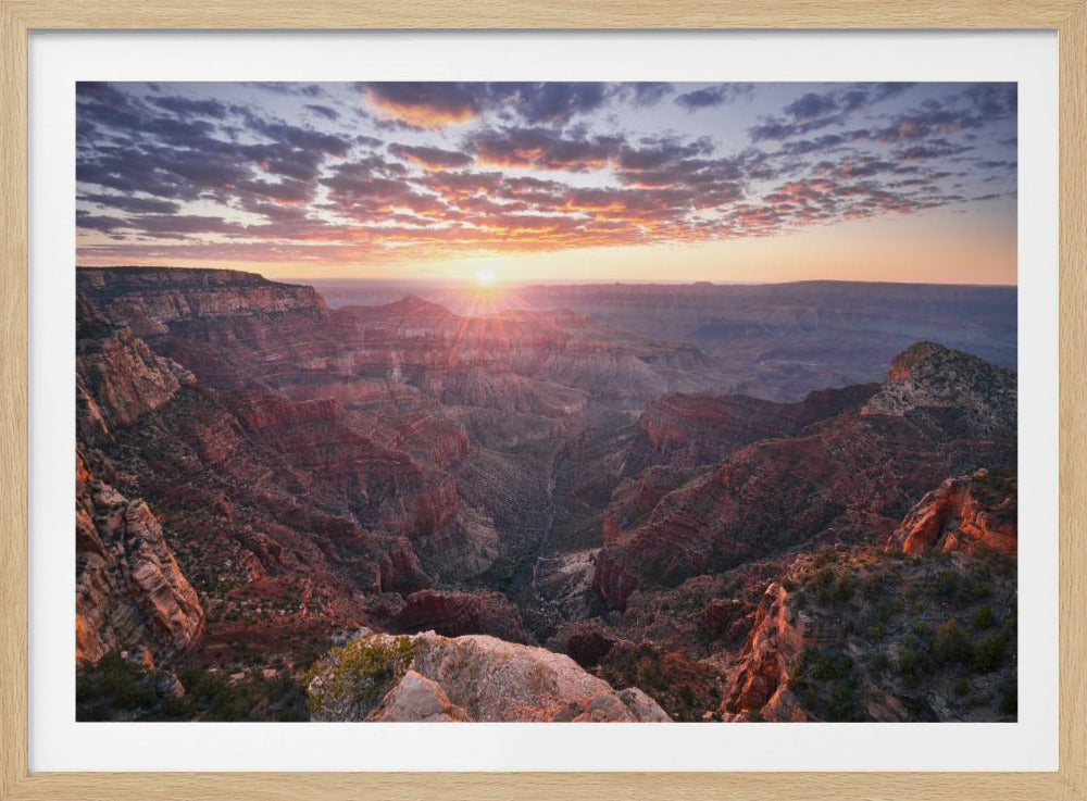 Grand Canyon View | Poster