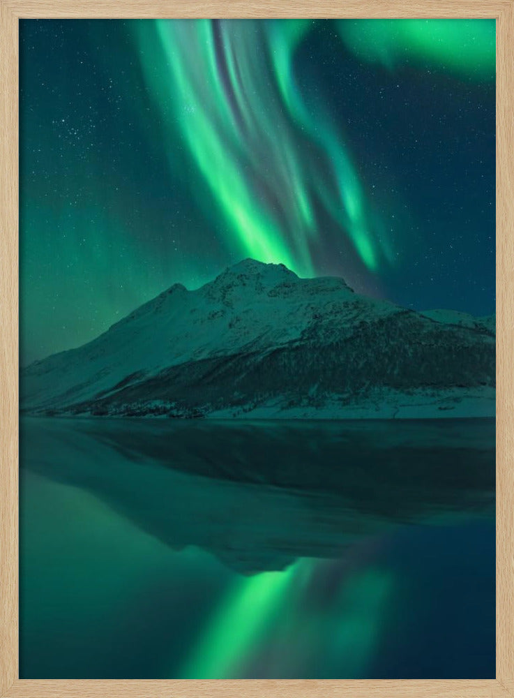 Reflecting Fairy | Poster