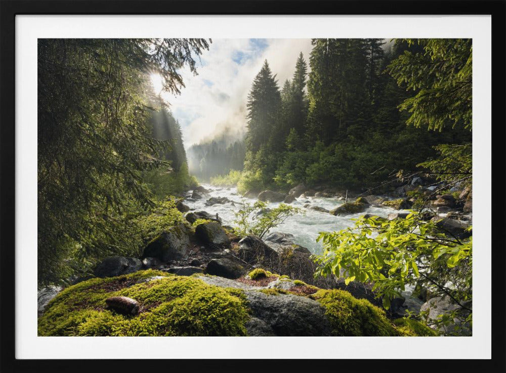 Spring Break | Poster