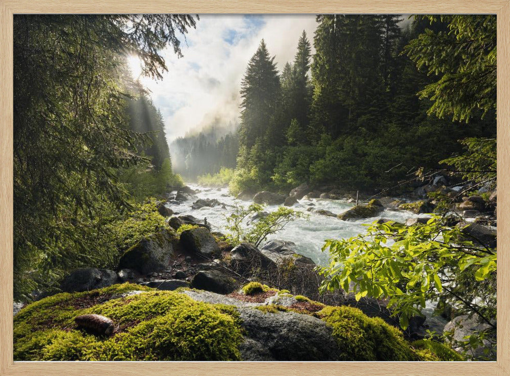 Spring Break | Poster