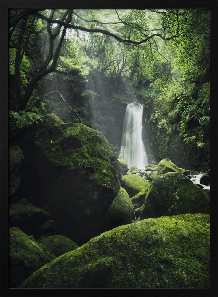 Mystic Falls | Poster