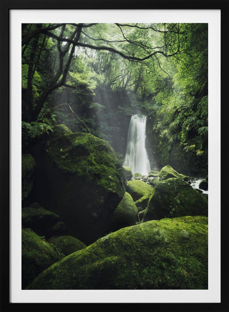 Mystic Falls | Poster