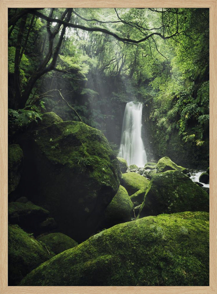 Mystic Falls | Poster