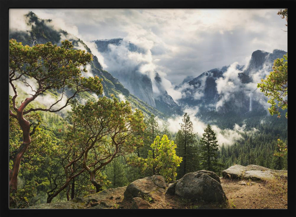 Tunnel View | Poster