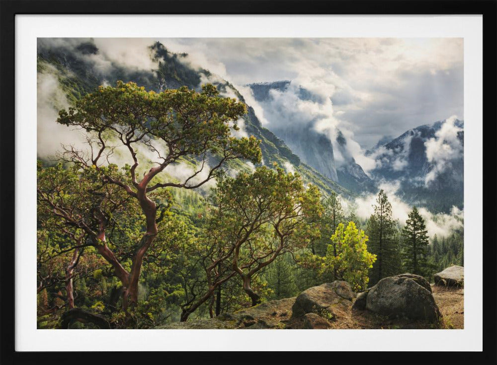 Tunnel View | Poster