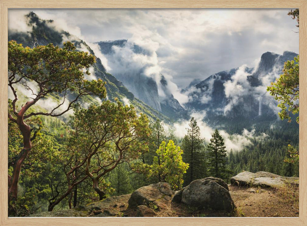 Tunnel View | Poster