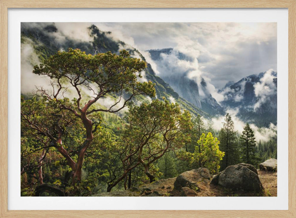 Tunnel View | Poster