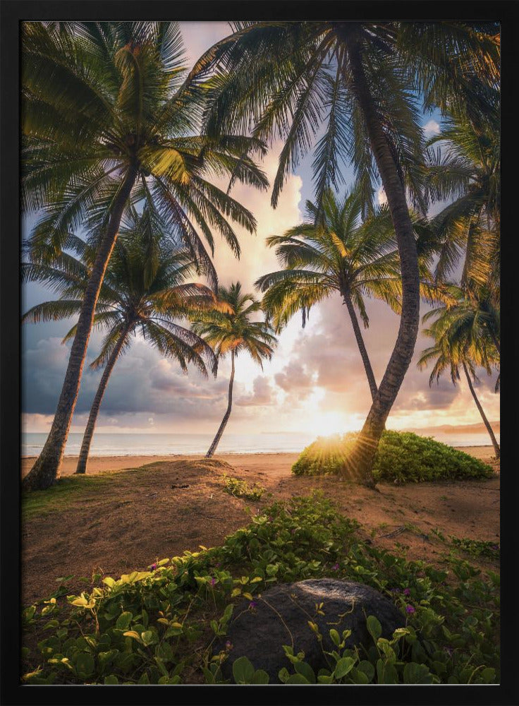 Vertical Paradise | Poster