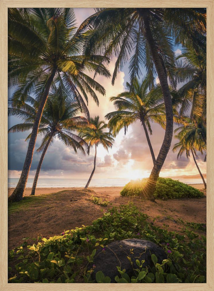 Vertical Paradise | Poster