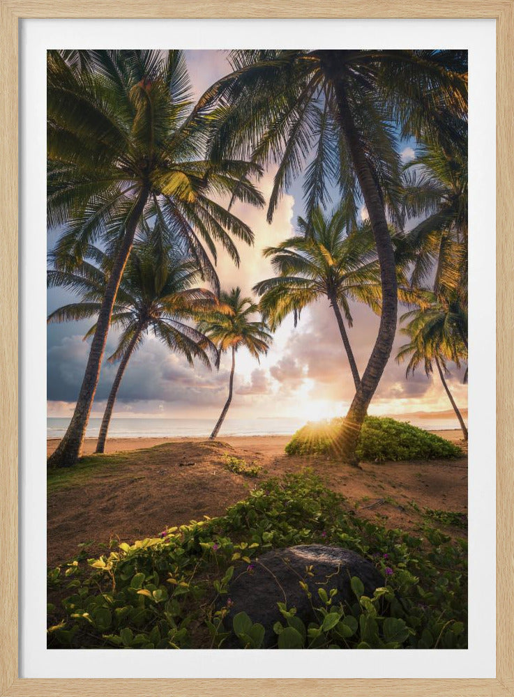 Vertical Paradise | Poster