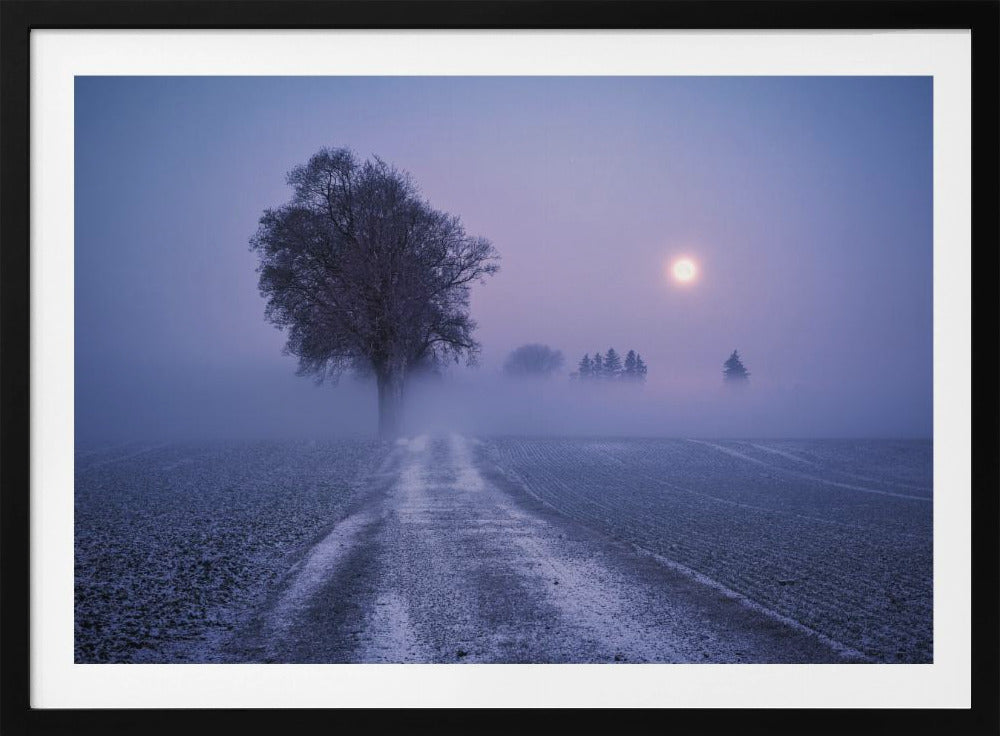 Moonlit Path | Poster