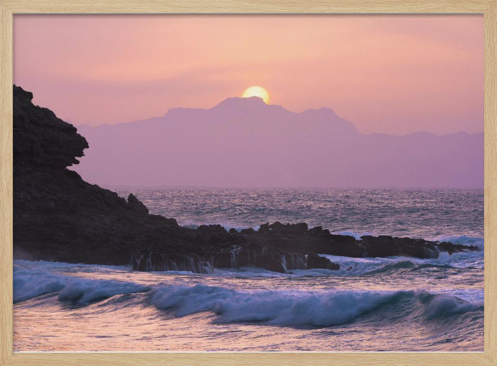 Purple Morning | Poster