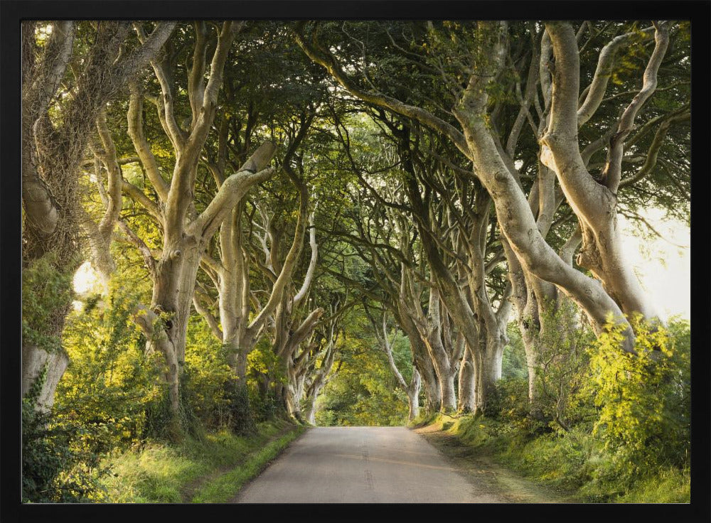 Golden Alley | Poster