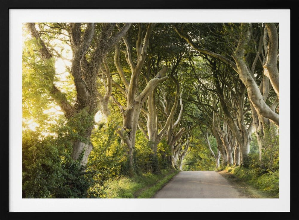 Golden Alley | Poster