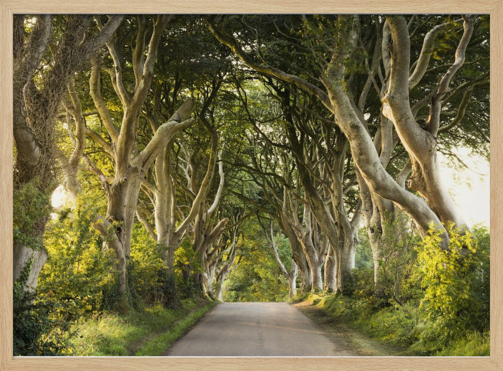 Golden Alley | Poster