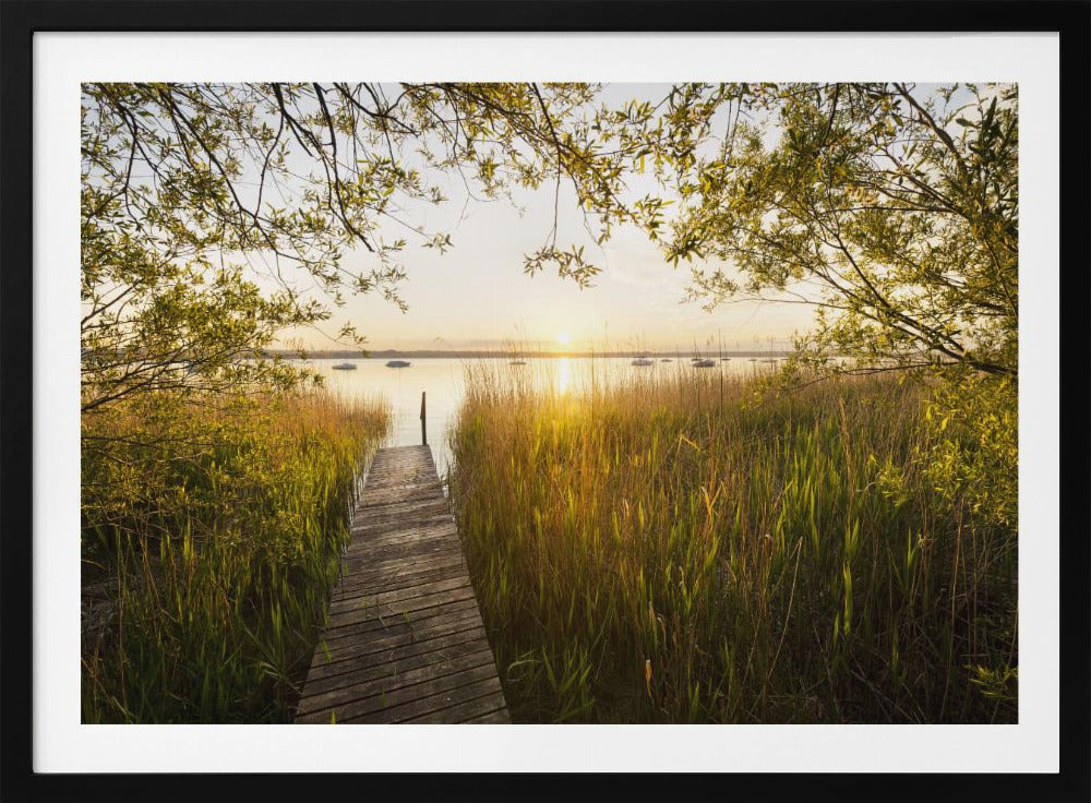 Golden Jetty | Poster