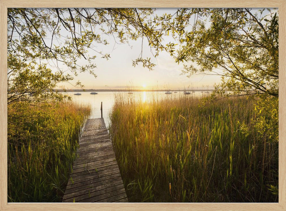 Golden Jetty | Poster