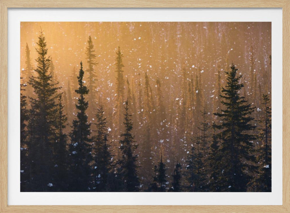 Snow Flakes | Poster