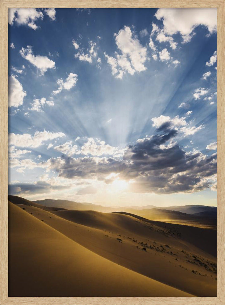 Desert Rays | Poster