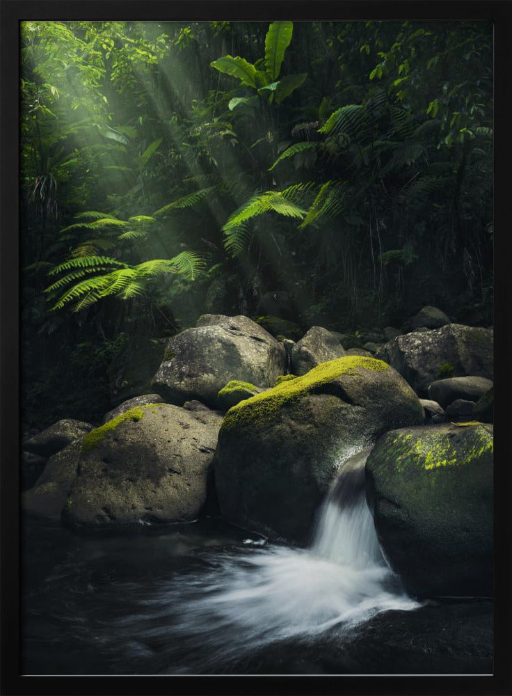 Mystic Jungle | Poster