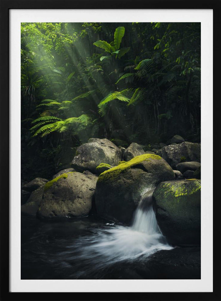 Mystic Jungle | Poster
