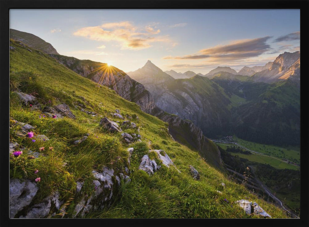 Summer Meadow | Poster