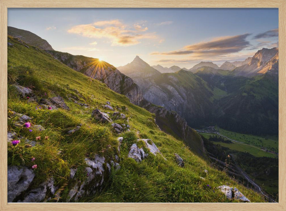 Summer Meadow | Poster