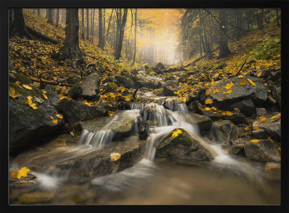 Autum Stream | Poster