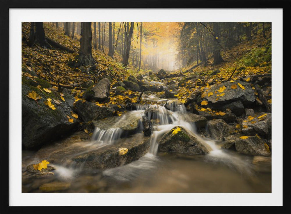 Autum Stream | Poster