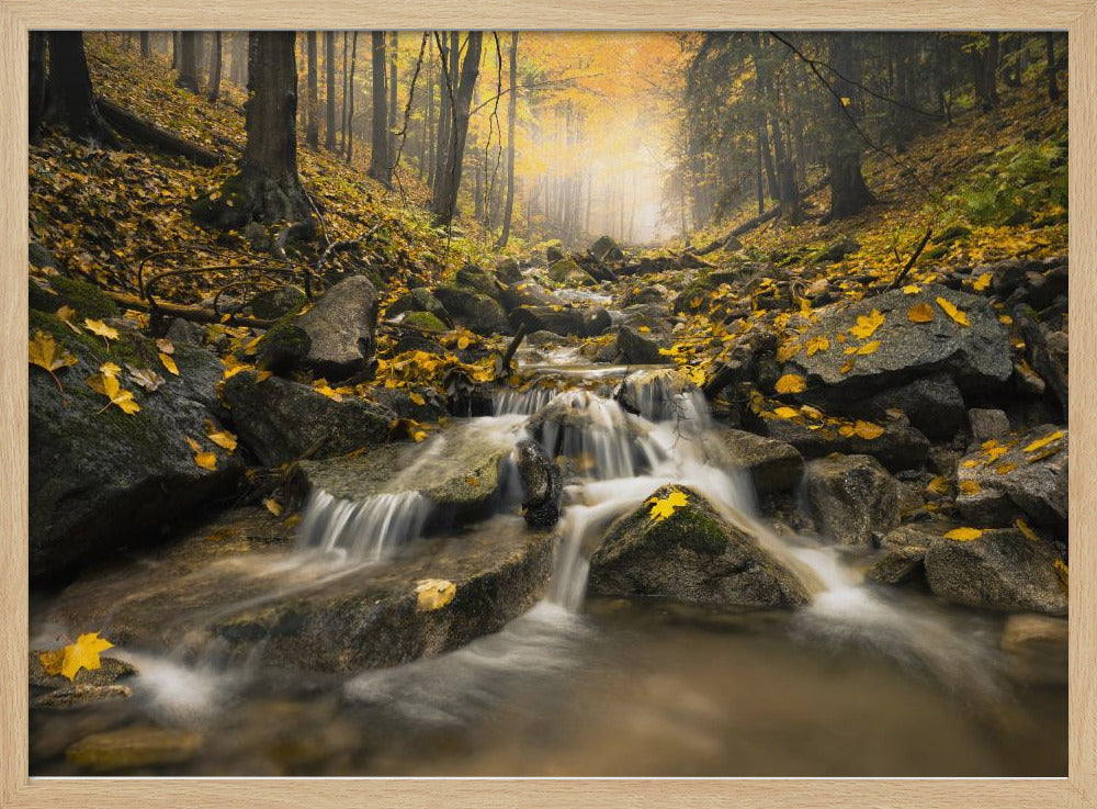 Autum Stream | Poster