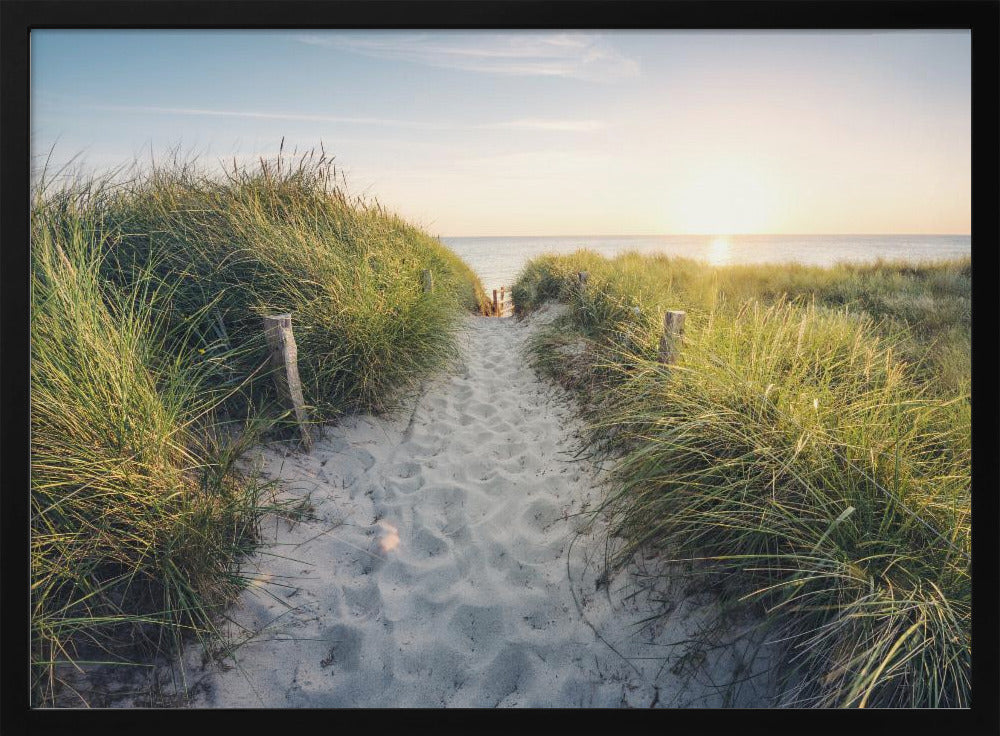 To the Beach | Poster