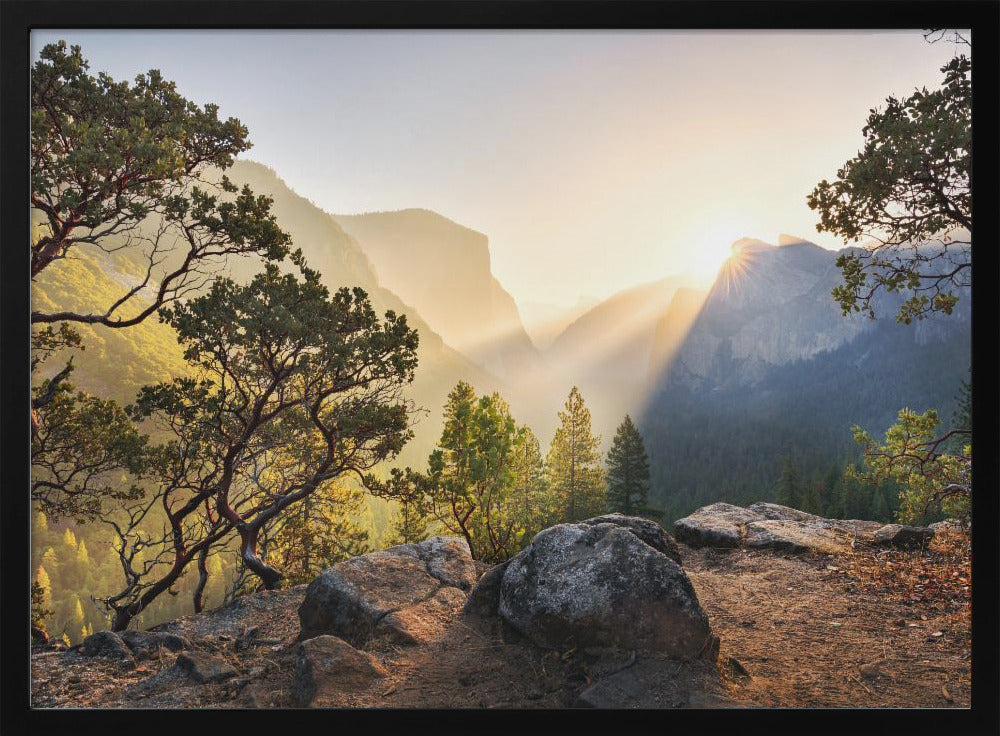 Yosemites Secret | Poster