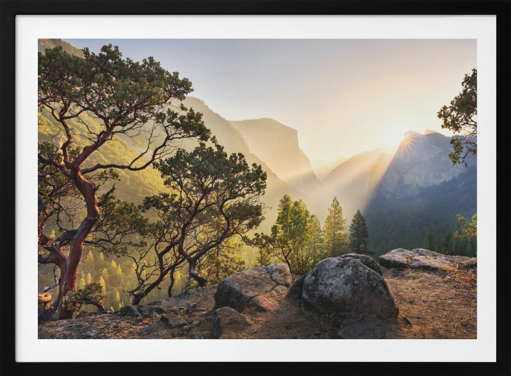 Yosemites Secret | Poster