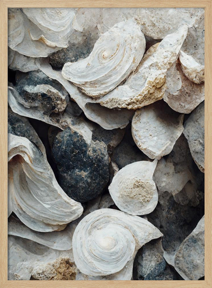 Shells and Stone | Poster