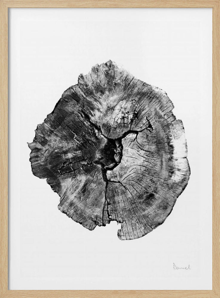 Oak Log | Poster